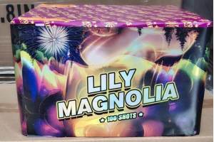 LILYMAGNOLIA_100SHOTS