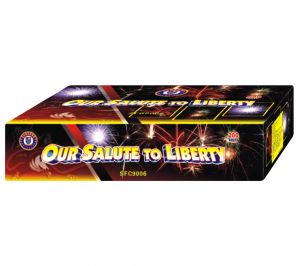 Our Salute to Liberty 200 Shots