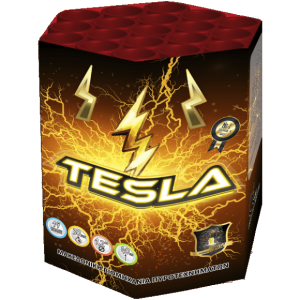 TESLA_19SHOTS