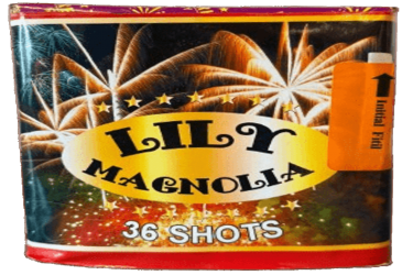 LILY_MAGNOLIA_36SHOTS